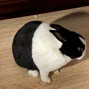 Meet your Posher, Bryan